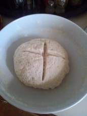 rinfresco di pasta madre